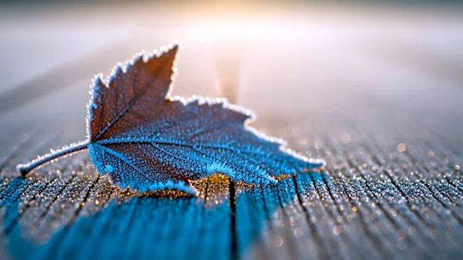 Chilly Weather Persists in Tri-State Area, Warmer Temperatures Expected Soon