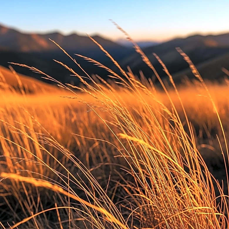 Warm and Breezy Conditions Elevate Fire Risk in Colorado's Front Range