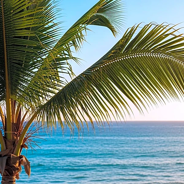 Breezy Yet Pleasant Weather in South Florida