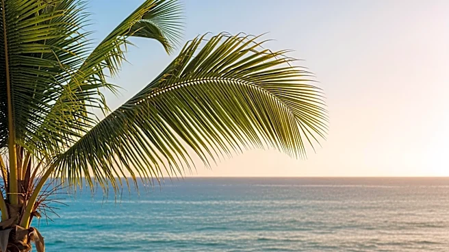 Breezy Yet Pleasant Weather in South Florida