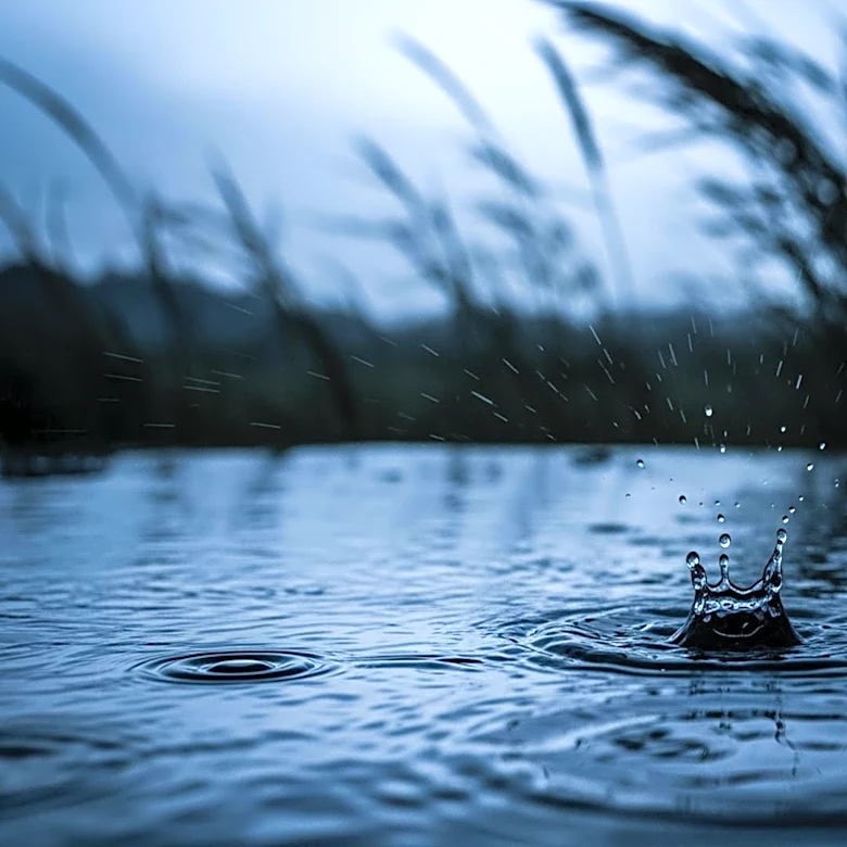 Eugene Weather: Heavy Rain and Wind Expected This Week