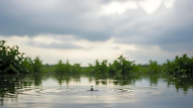 Cloudy Skies with Light Showers Expected in Athens, TX