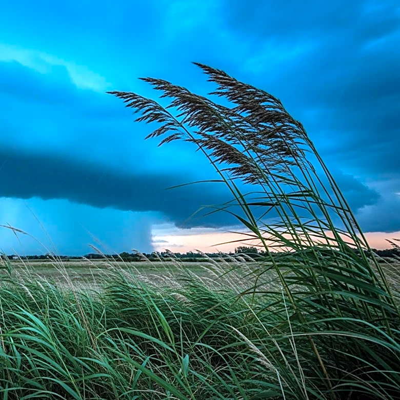 Windy Conditions and Late Showers Expected in Watertown, SD