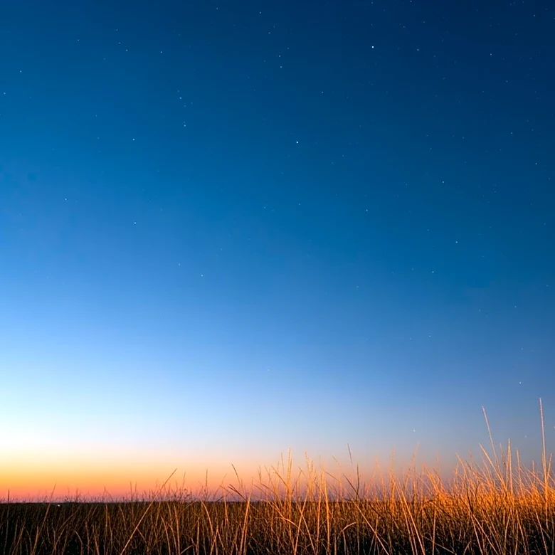 Tuscaloosa Weather: Clear Skies and Mild Temperatures Expected