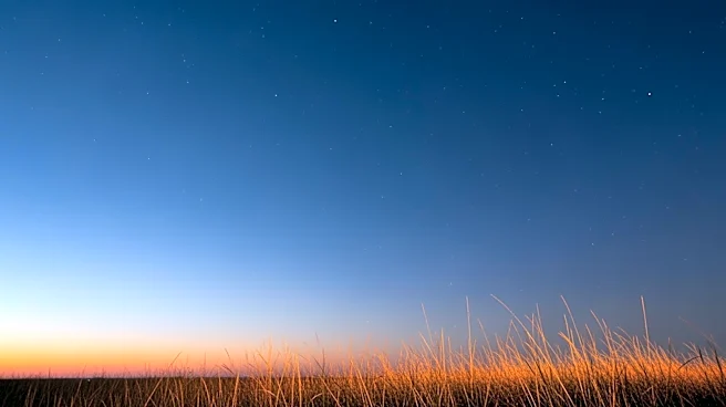 Tuscaloosa Weather: Clear Skies and Mild Temperatures Expected