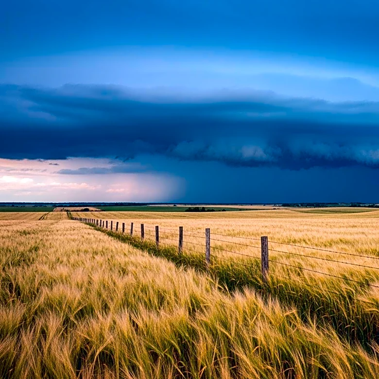 Midwest Farmers Brace for Storms After Brief Dry Spell