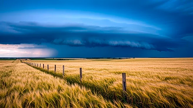 Midwest Farmers Brace for Storms After Brief Dry Spell