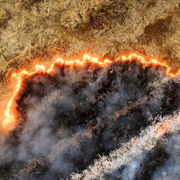 Drought fuels dangerous wildfire season across U.S.