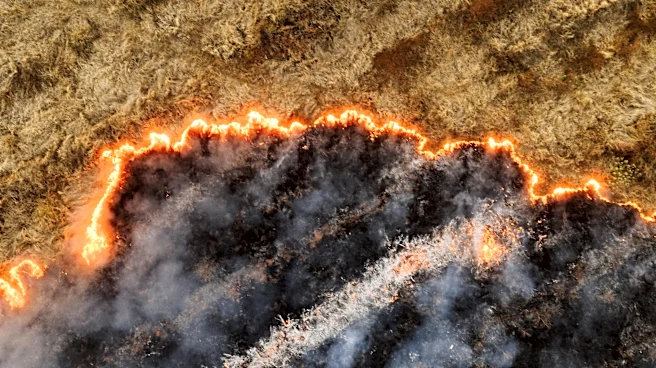 Drought fuels dangerous wildfire season across U.S.