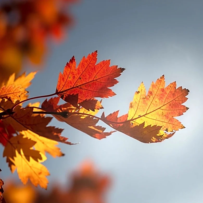Virginia Beach Faces Air Pollution Risk Amid Weather Changes