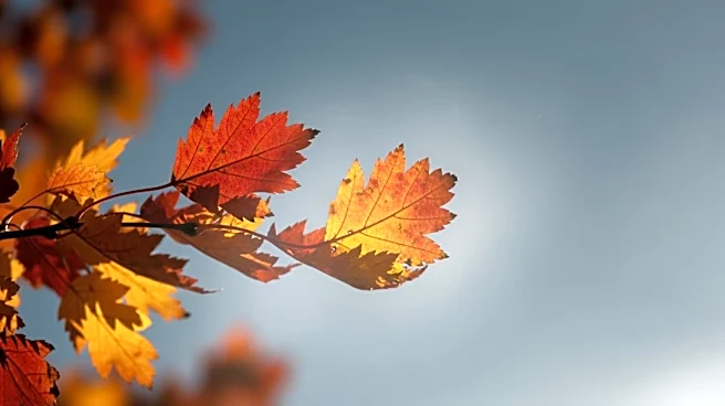 Virginia Beach Faces Air Pollution Risk Amid Weather Changes