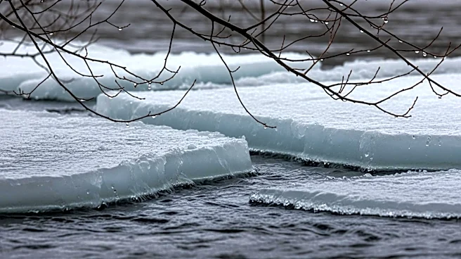 Heavy Rain and Snowmelt Cause Ice Damage in Northeastern Michigan