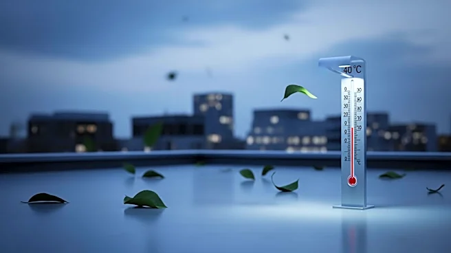 Los Angeles Faces Unseasonably Cold Weather with Wind Chill Advisory