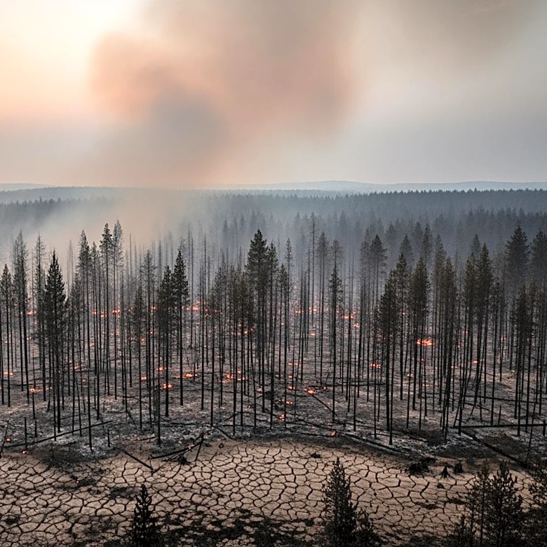 Wildfire in Brantley County, Georgia Destroys 47 Buildings
