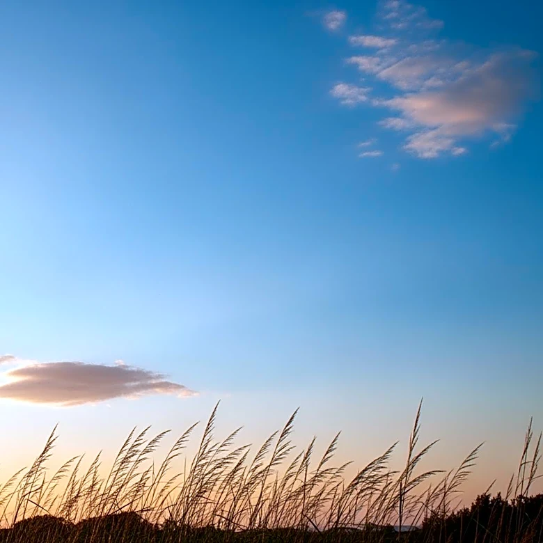 Dallas Weather: Clear Skies and Mild Temperatures Expected