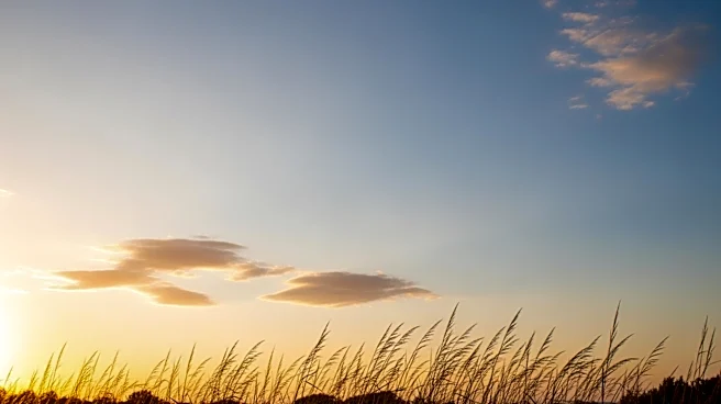 Dallas Weather: Clear Skies and Mild Temperatures Expected