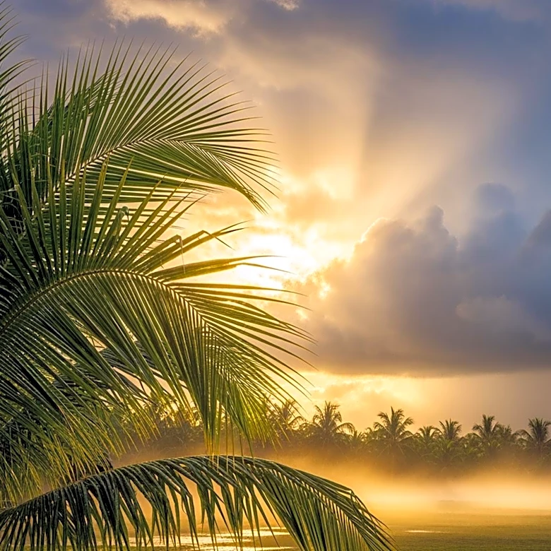 Rising Temperatures and Increased Rain Chances in South Florida Next Week