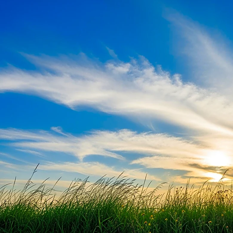 Sunny Skies and Mild Temperatures Expected in Maryland on Thursday