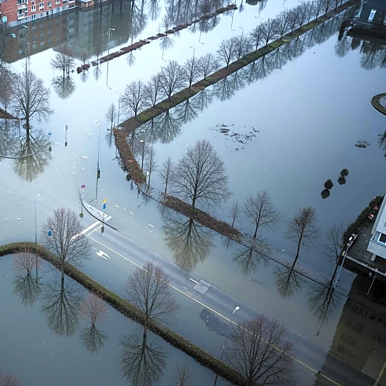 Severe Flooding in Wellington, New Zealand Causes Widespread Damage