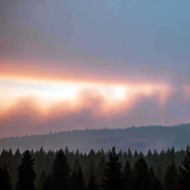 Air Quality Alert Issued for South Carolina Due to Georgia Wildfires