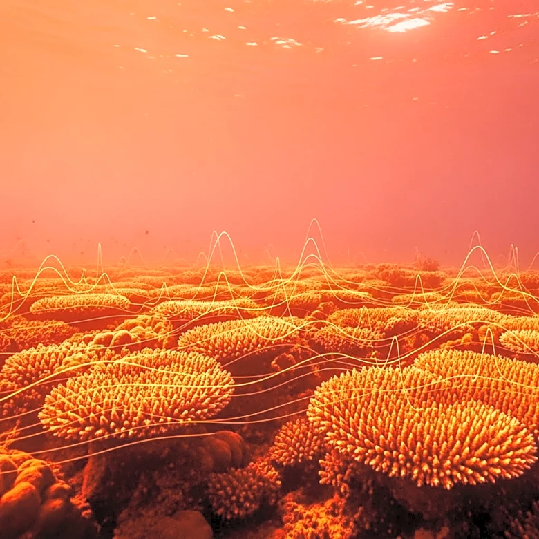 California Faces Intense Marine Heat Wave with Broad Impacts