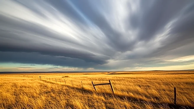 High Fire Danger and Strong Winds Pose Risks in Southern Colorado