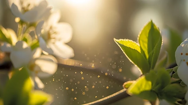 Extended Pollen Season Causes Hay Fever Challenges in the UK