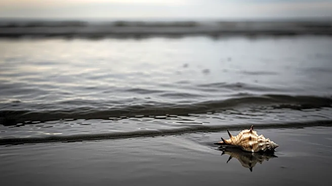 Flesh-Eating Bacteria Detected in Long Island Waters, Poses Severe Health Risk