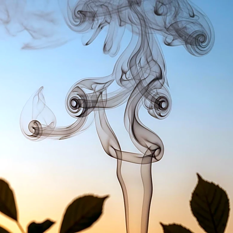 Smoke from Southeast Wildfires Triggers Air Quality Alerts in South Carolina