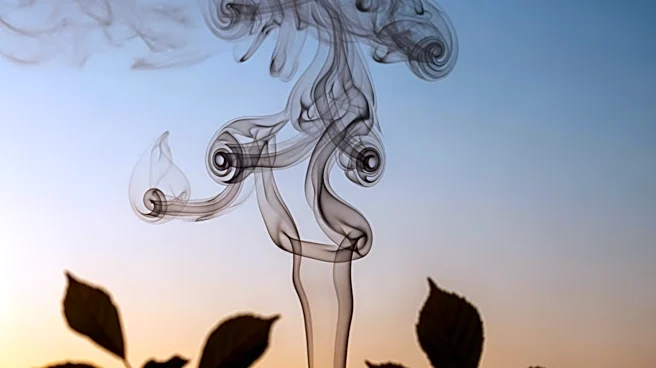 Smoke from Southeast Wildfires Triggers Air Quality Alerts in South Carolina