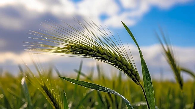 Spring Weather Swings Impacting Agriculture in April