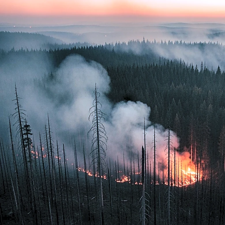 Brantley County Wildfire Forces Evacuations and Destroys Homes