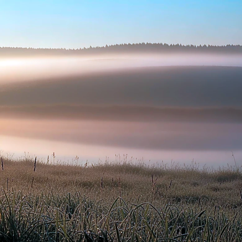 Gradual Warming Expected Across Israel with Fog in Some Areas