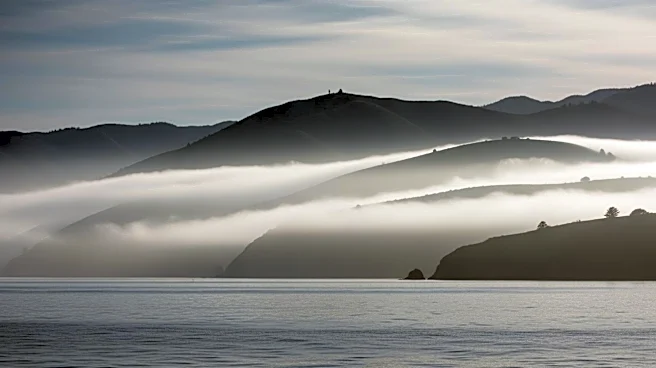 Fog Cycles Impacting Visibility in San Francisco