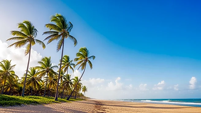 South Florida Enjoys Sunny, Breezy Weather