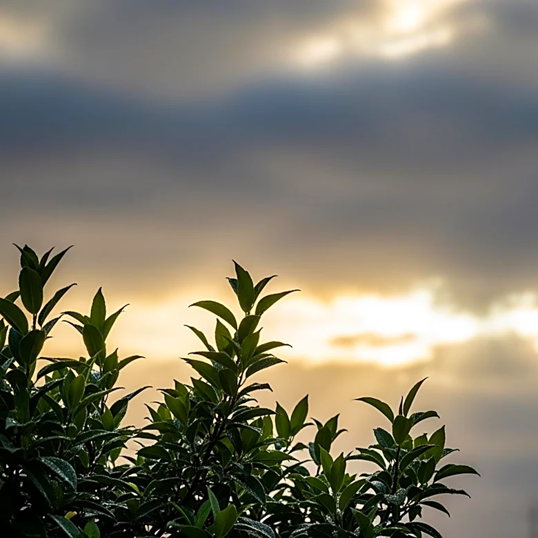 Cloudy Skies Persist with Warmer Temperatures Ahead for New York
