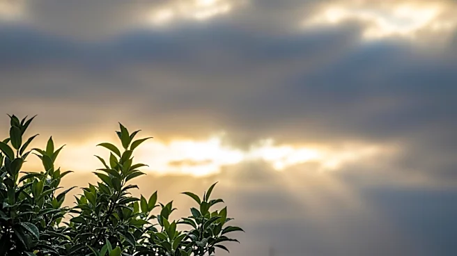 Cloudy Skies Persist with Warmer Temperatures Ahead for New York