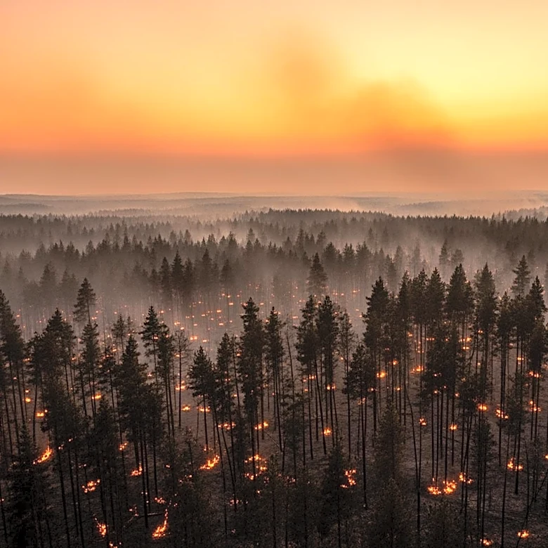 Georgia Wildfires Prompt State of Emergency Amid Expanding Blaze