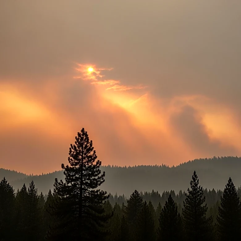 Air Quality Alert Issued for South Carolina Counties Due to Georgia Wildfires