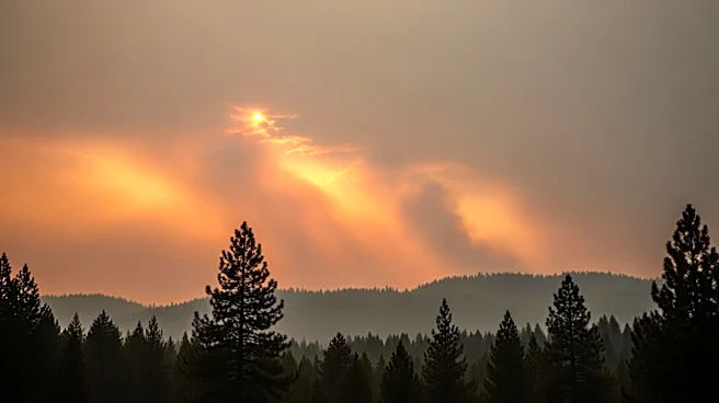 Air Quality Alert Issued for South Carolina Counties Due to Georgia Wildfires