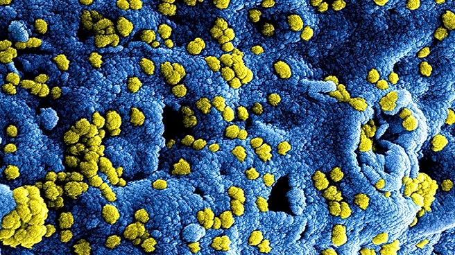 Rare amoeba infection risk flagged ahead of summer