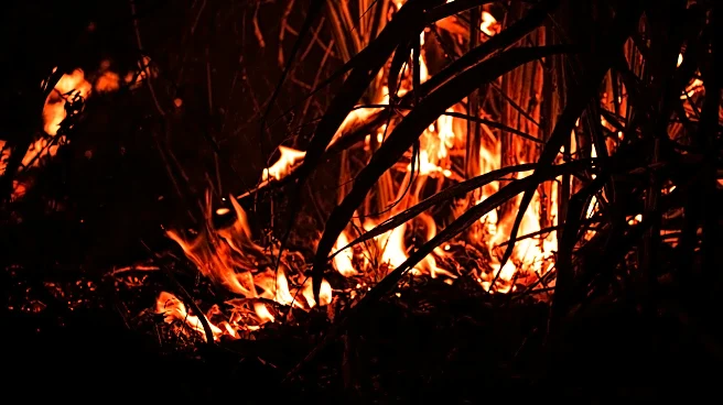 State of Emergency issued amid raging Georgia wildfires