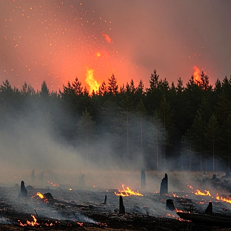 Fast-Moving Wildfires Threaten Georgia as Crews Battle Flames