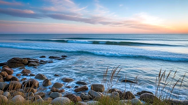 San Francisco Weather: Mild Conditions with Light Winds