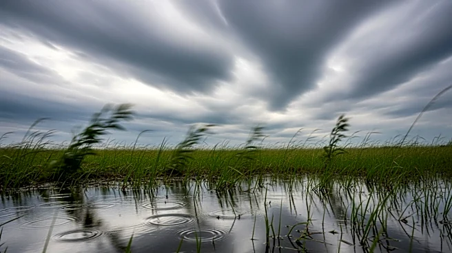 Weather Update: Olathe Faces Unsettled Conditions with Rain and Wind