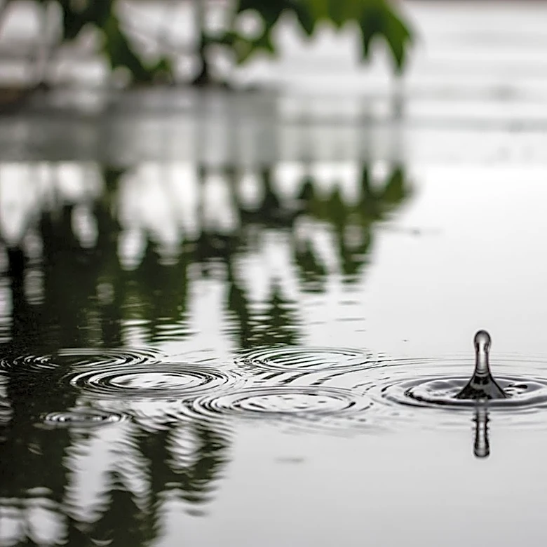 Rainy Conditions Expected in Yonkers This Weekend