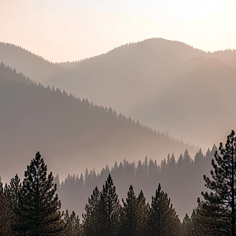 Smoke Shrouds Northern Thailand, Affecting Air Quality and Tourism