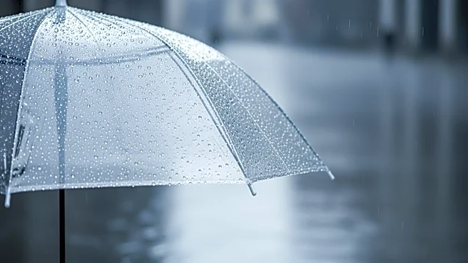 Heavy Rainfall Expected in Seattle: Prepare for Wet Conditions