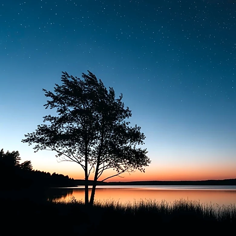 Huntsville Weather: Clear Skies and Mild Temperatures Expected