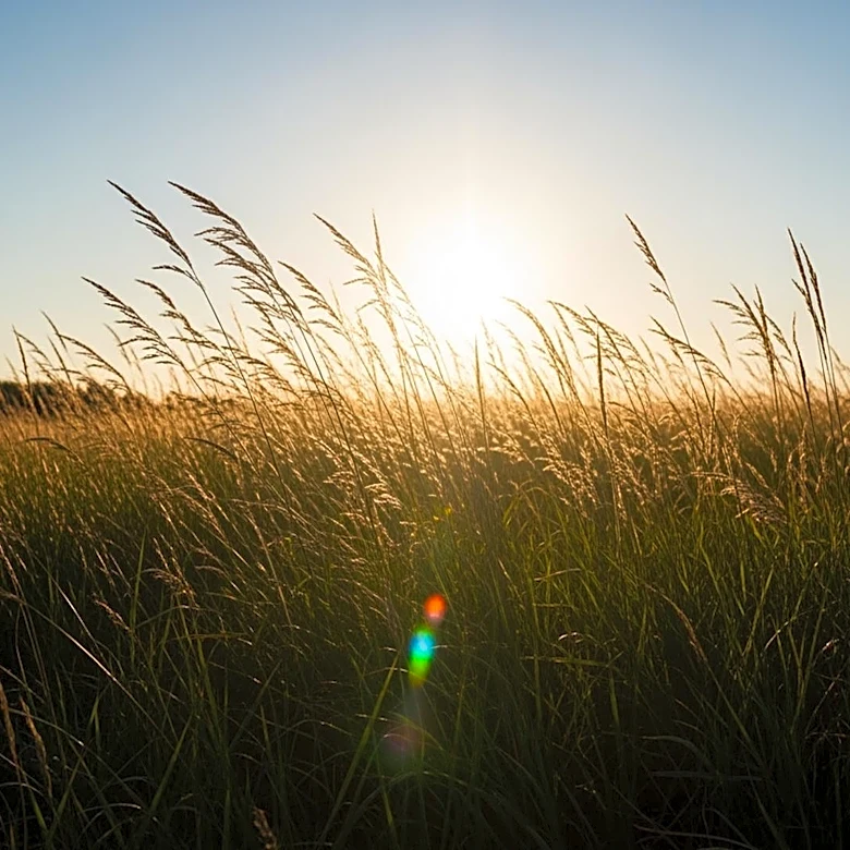Sylmar Weather: Sunny Conditions to Prevail in Los Angeles